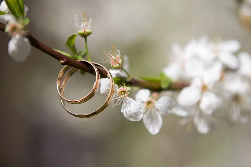 💖🌍 ¡Sorpréndete con las Diferentes Formas de Llevar tu Anillo de Compromiso por el Mundo! 💍✨