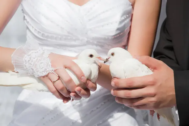 Vestidos para boda civil: qué llevar o no llevar