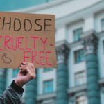 Consumo responsable, maquillaje orgánico, vegano y cruelty free