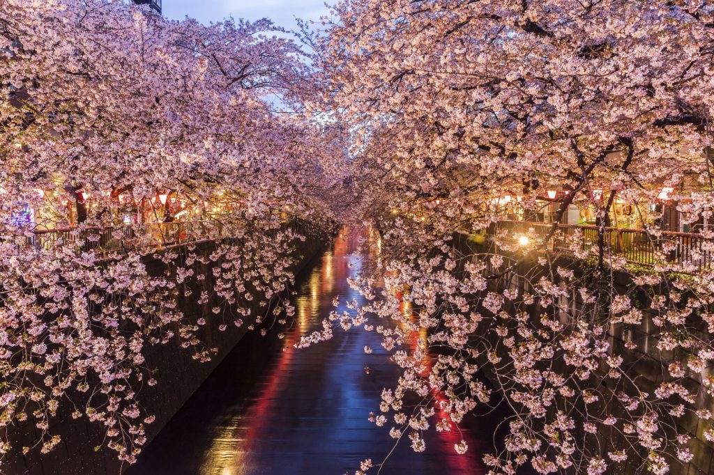 luna de miel en Japón 